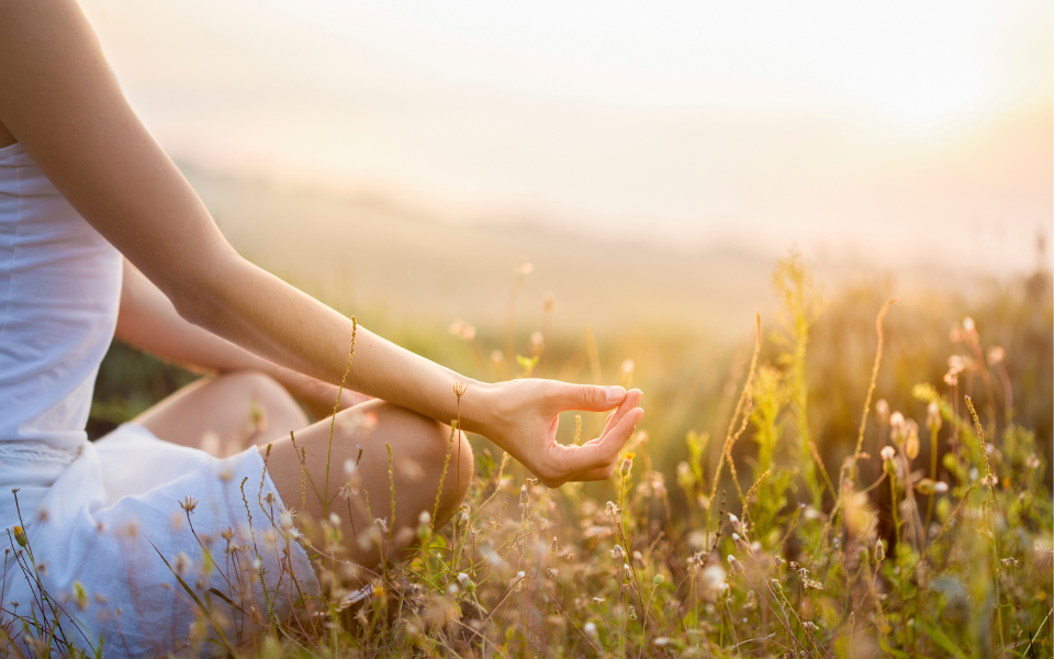 Strong back, soft front- A guided meditation inspired by Joan Halifax.