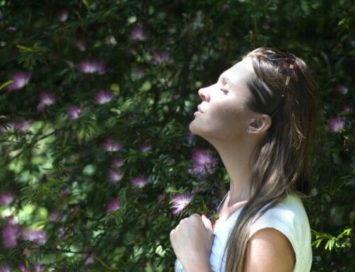 Embracing Life’s Challenges To Determine Your Soul Lessons.